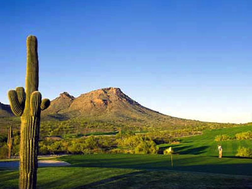 Gated Mountain View Resort Community, Centrally Located, Three Heated Pool-Spa Complexes, Half-Mile To Hiking! Phoenix Eksteriør billede